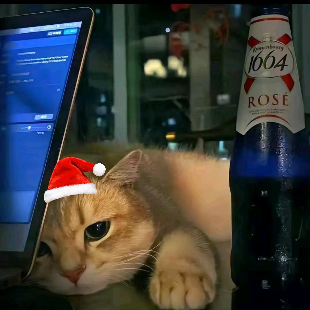 ( ｰ̀与光同尘ｰ́ )