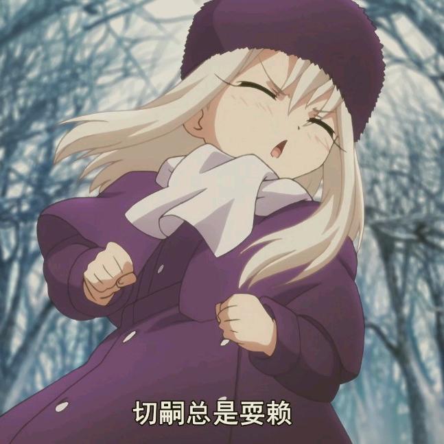 伊莉雅（去过解解演唱会版）