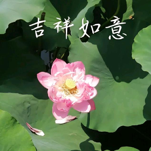吉祥如意