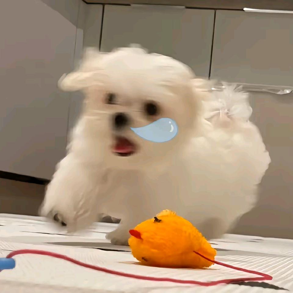 咕噜咕噜Zz