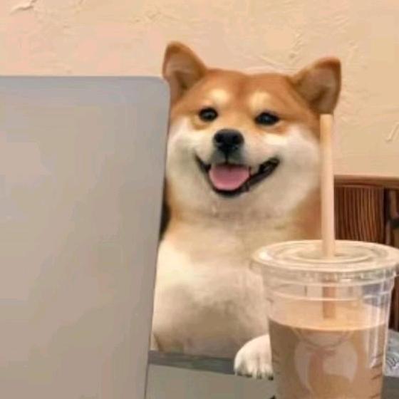 去码头整点奶黄包