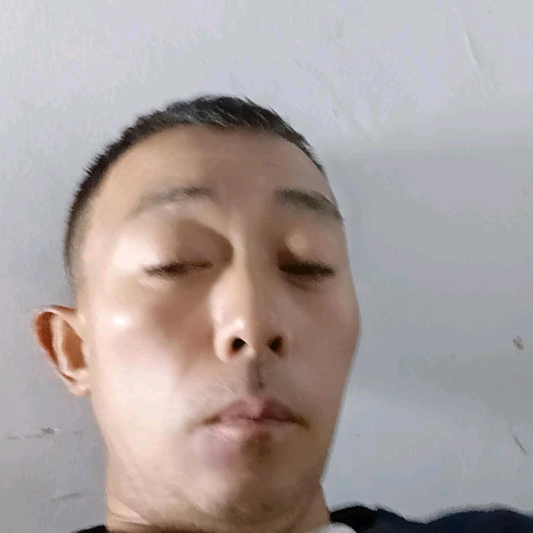 百鸟朝凤
