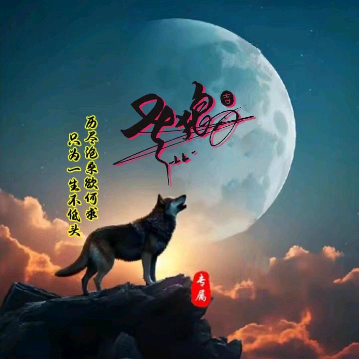 老狼