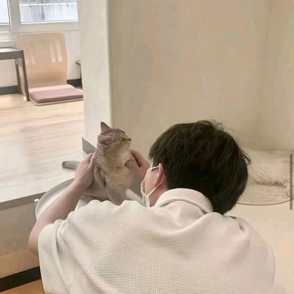 欭惗