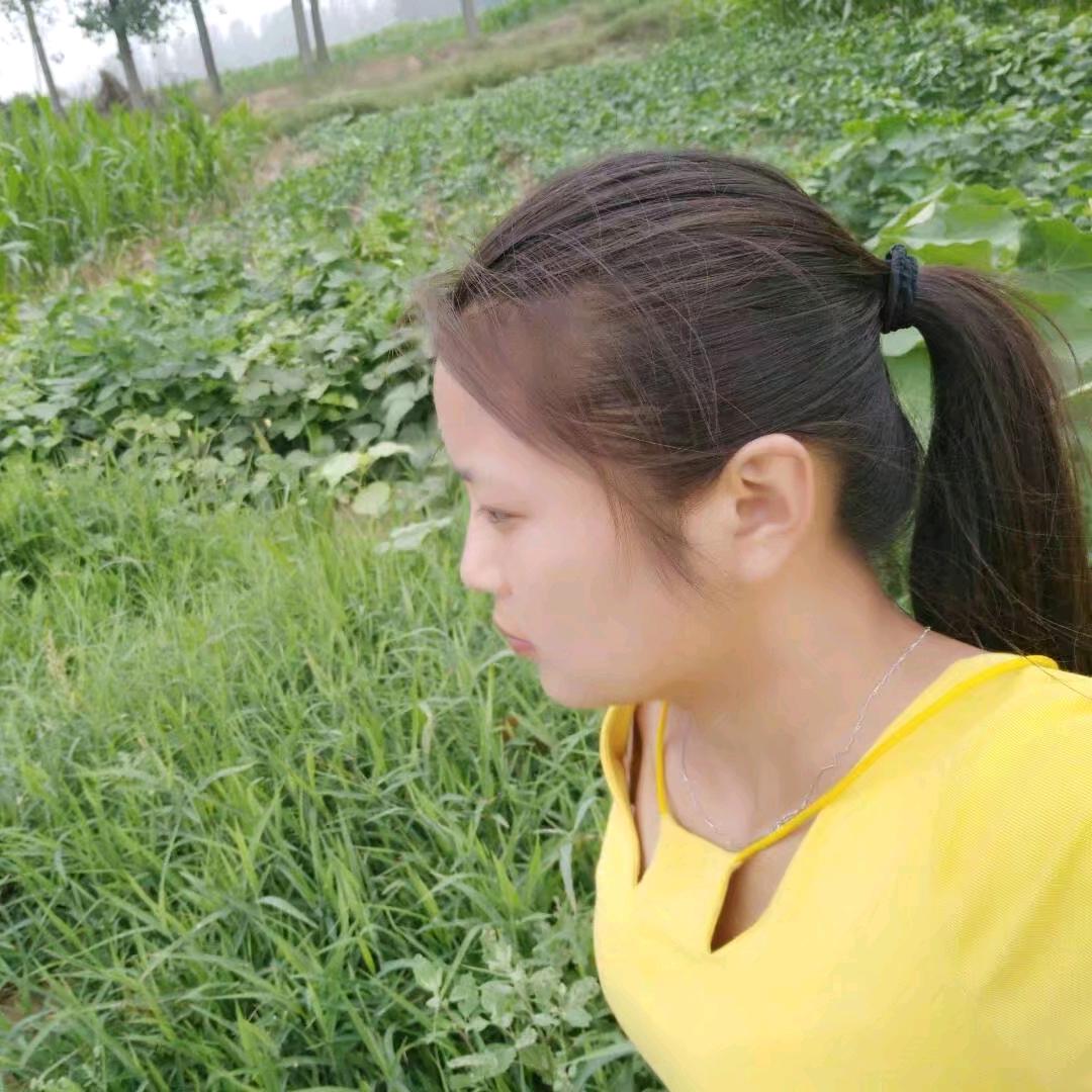 手工烩面    大盘鸡