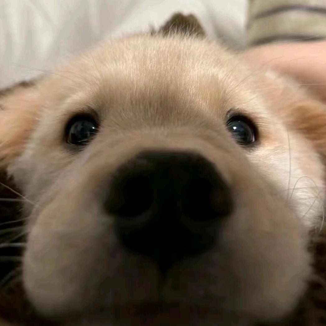 九月三