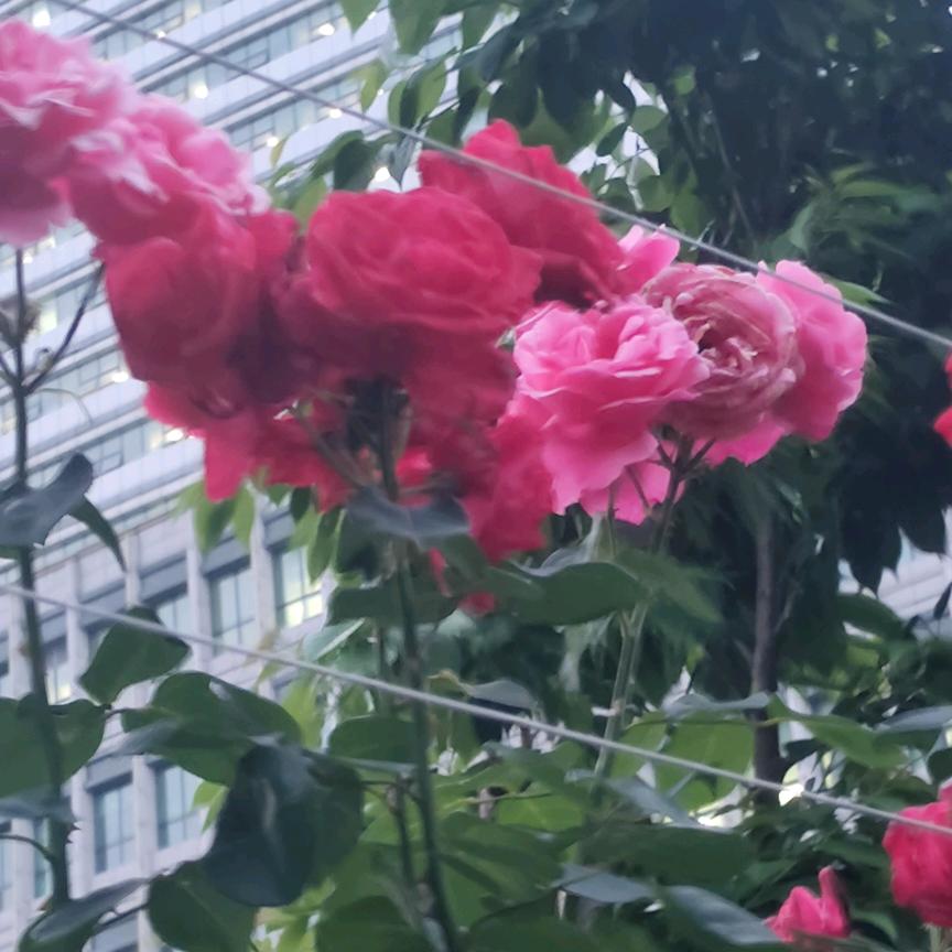 沧桑岁月