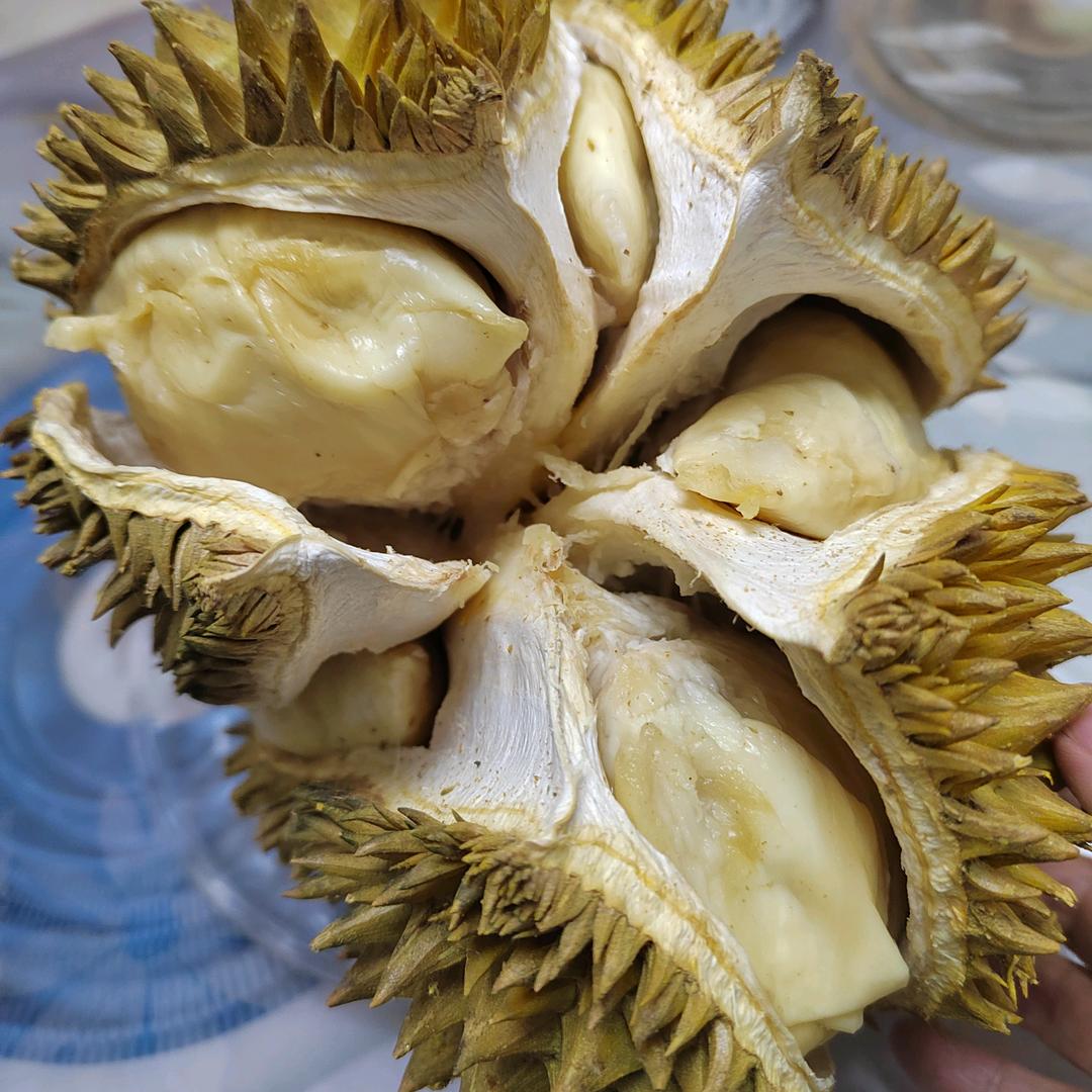 榴莲