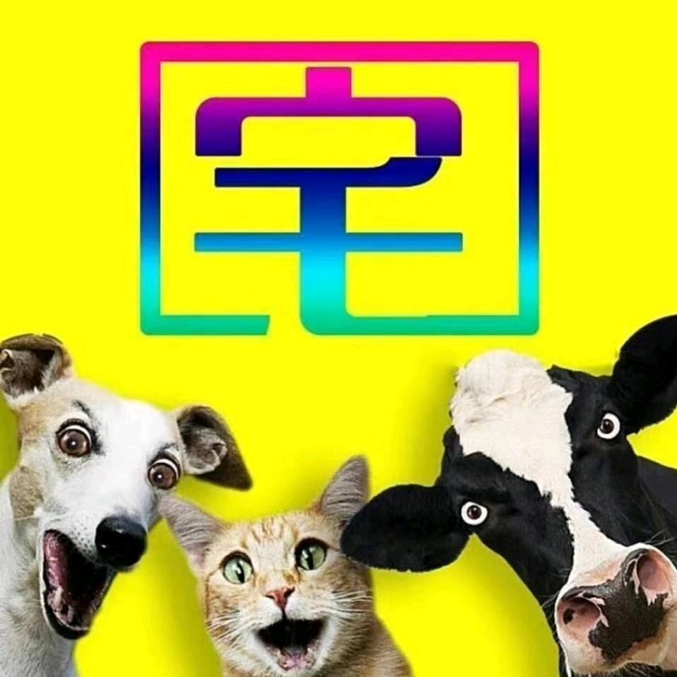 宅公社网络工作室🔥