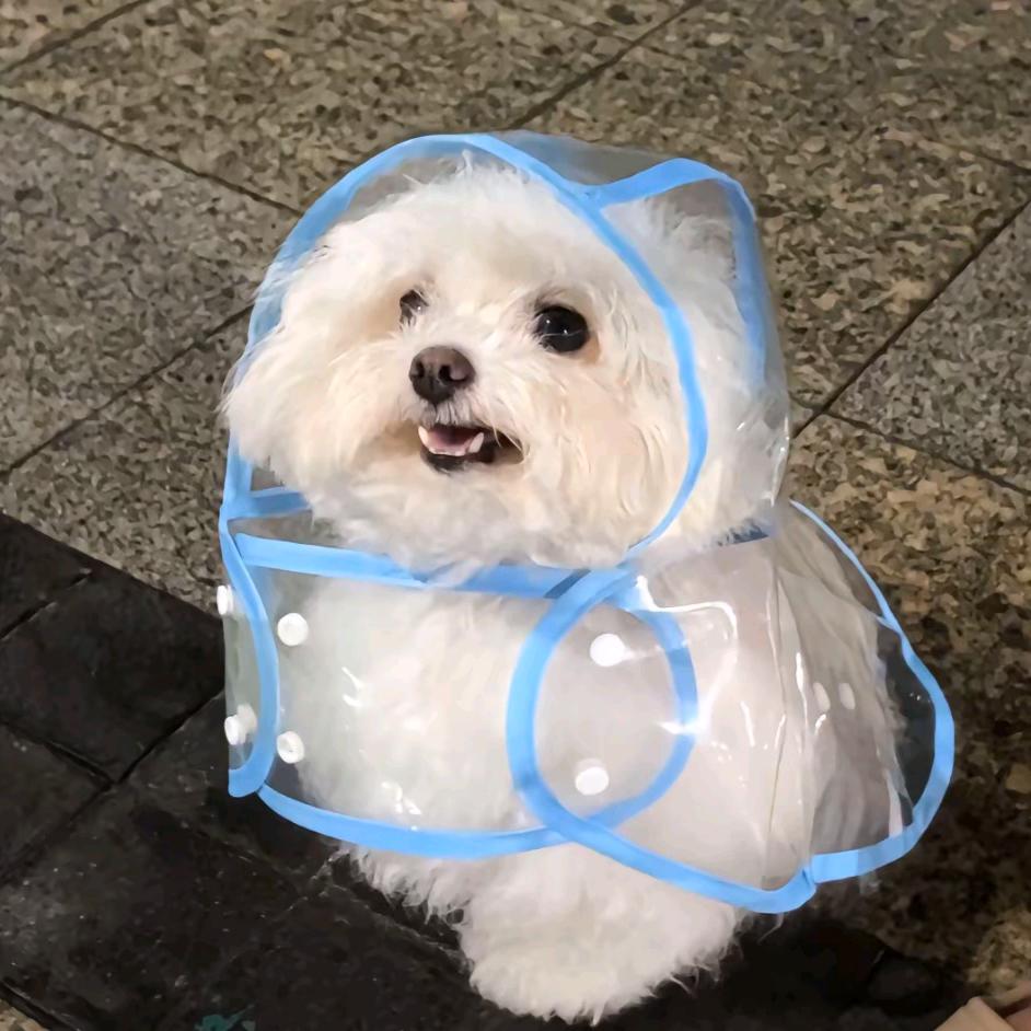 佳鑫