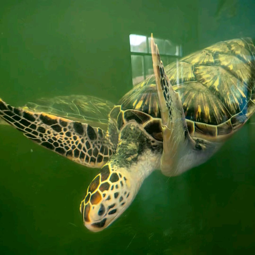 万科双月湾港亭度假公寓