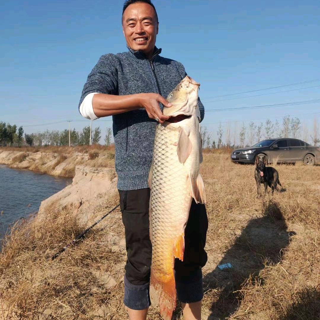 佳伊新能源销售维修