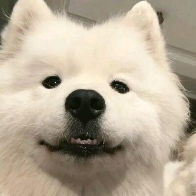 ......