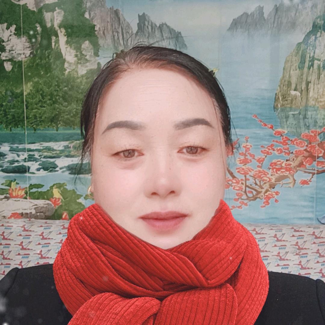太阳花🌻🌻