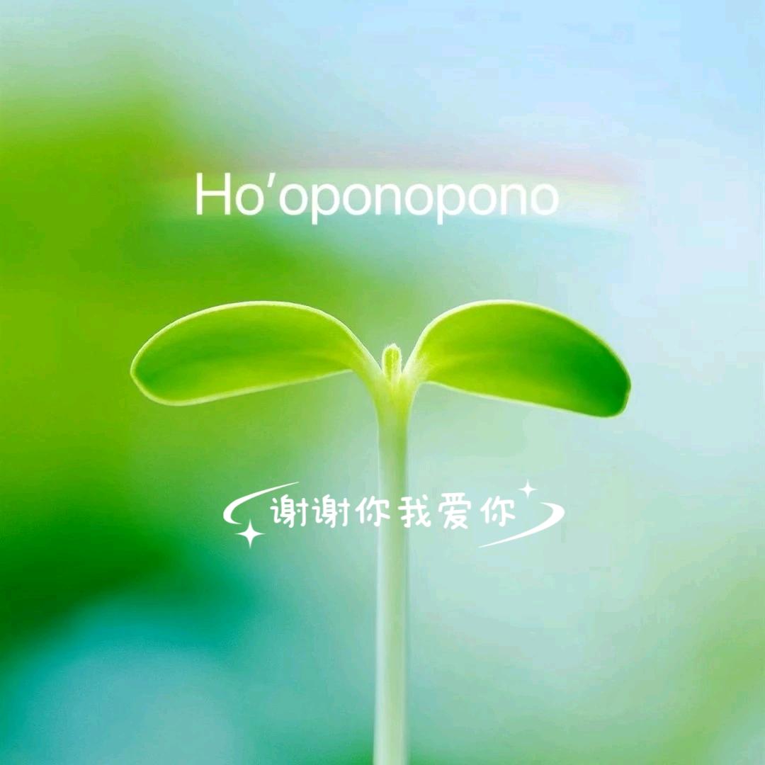 嘉丽Ceeport