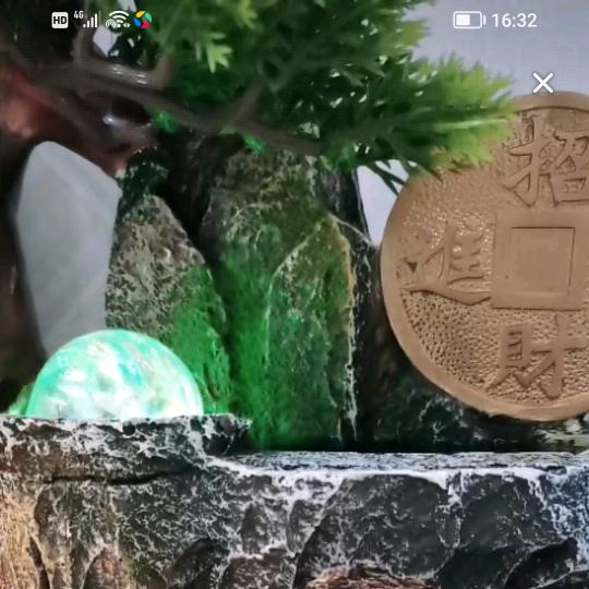 只看
