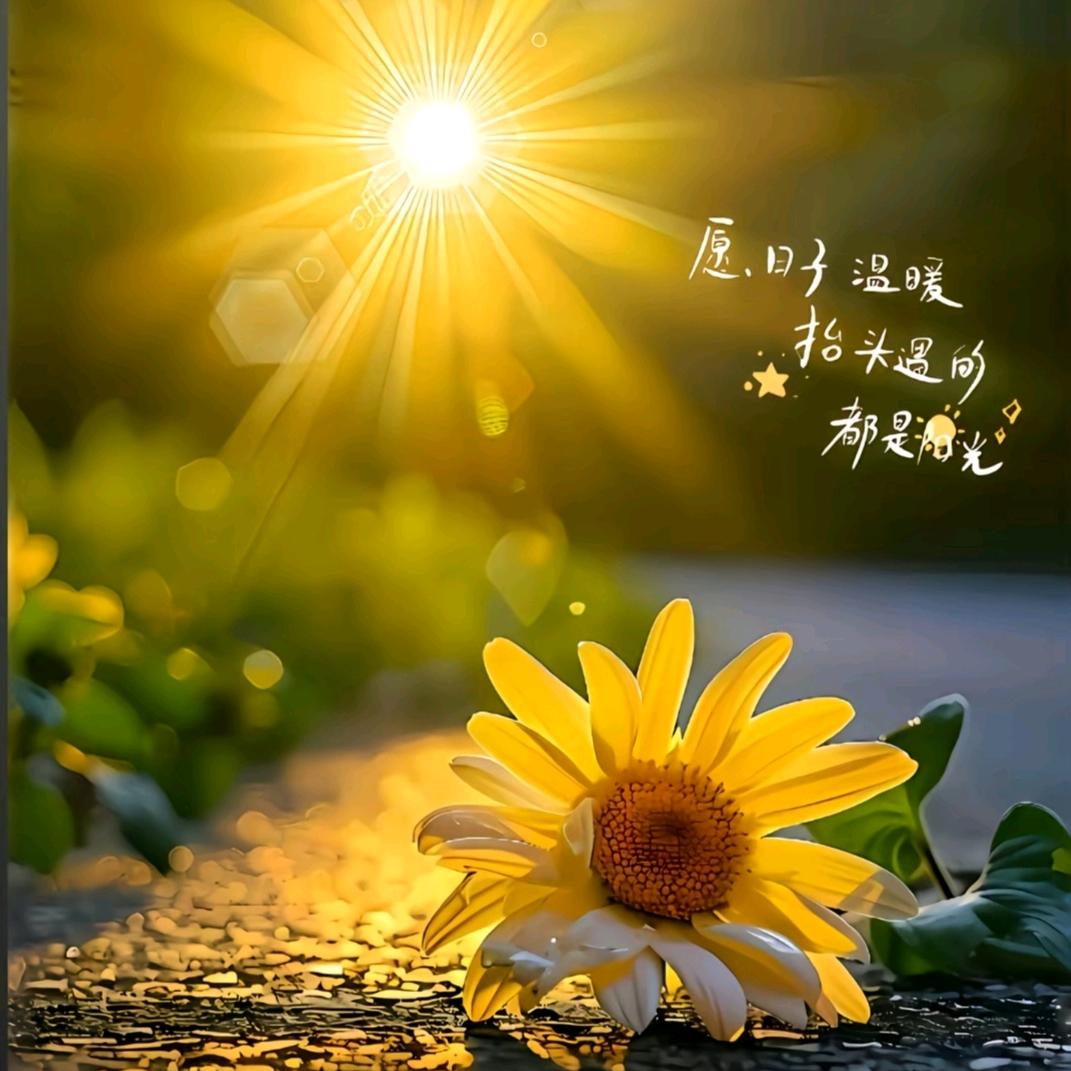 张团子的小乐园