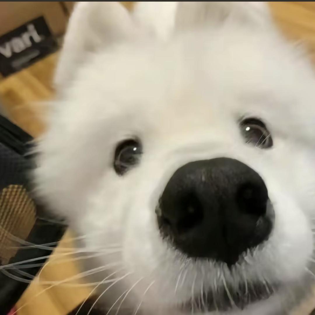 用户112205