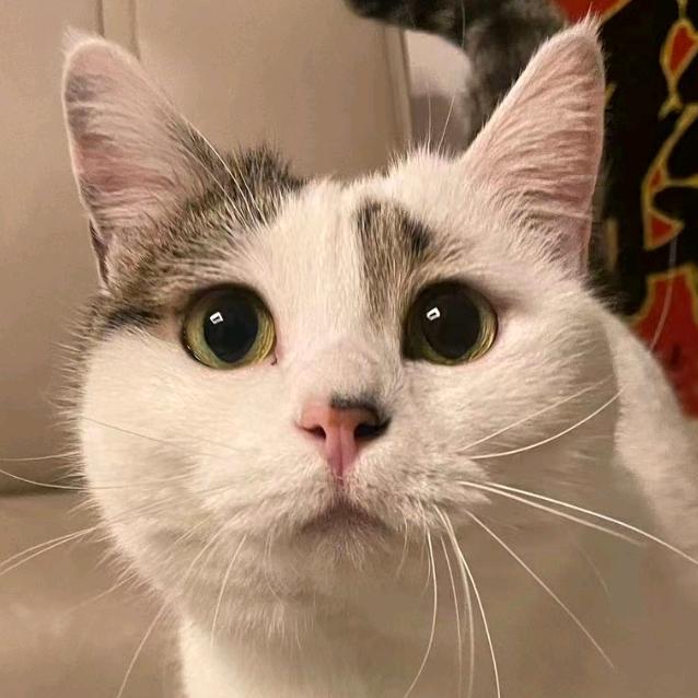 木叶守村人