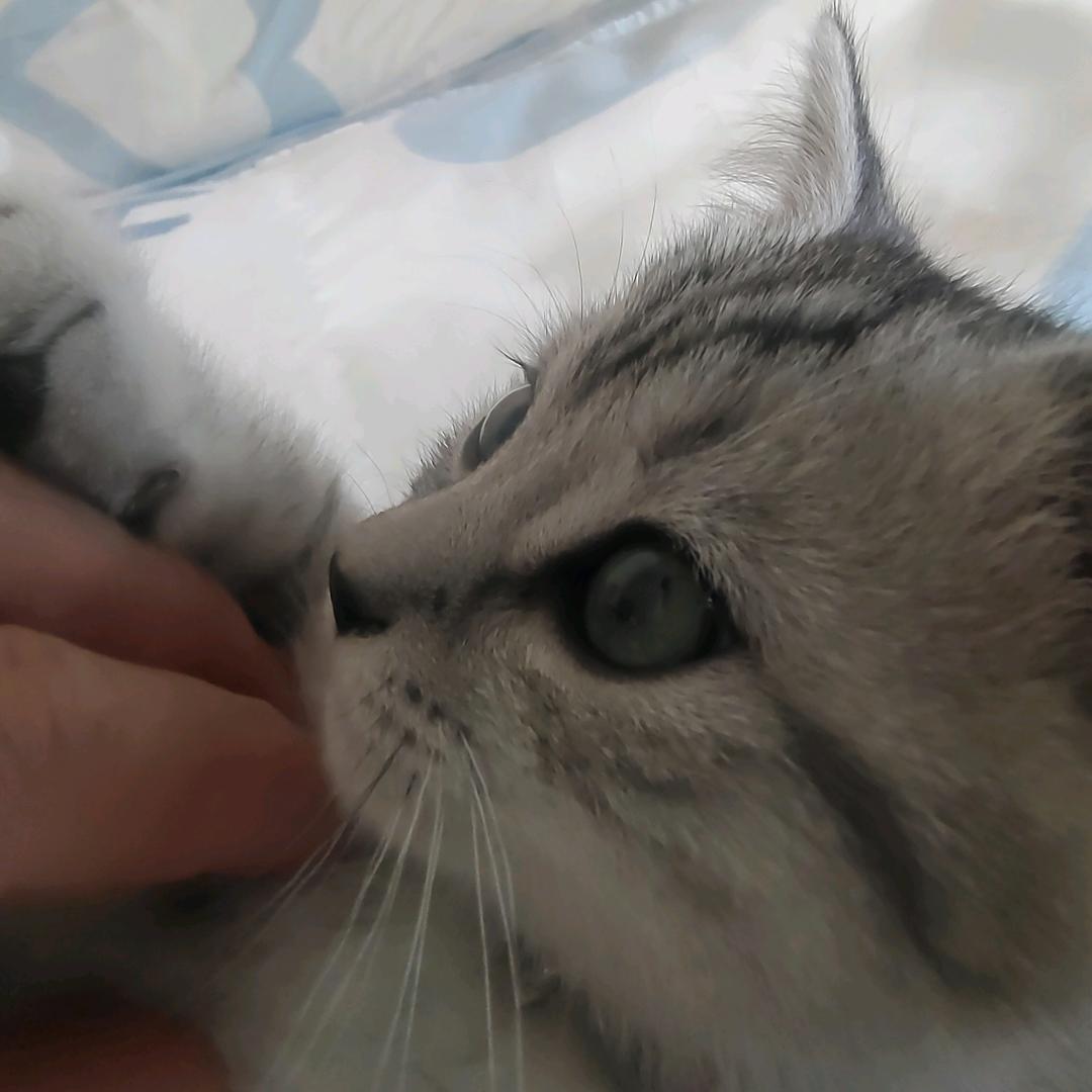 你的明天