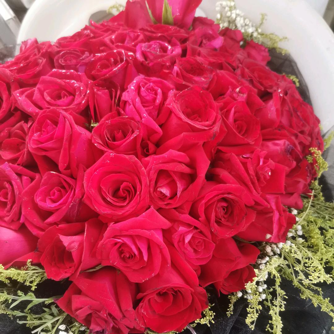 百宝石，一切都好