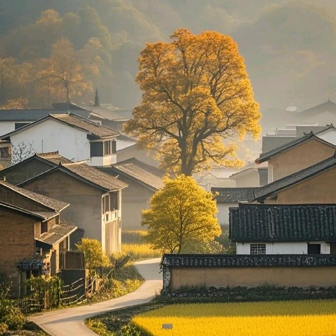 乡野日用百货直播号