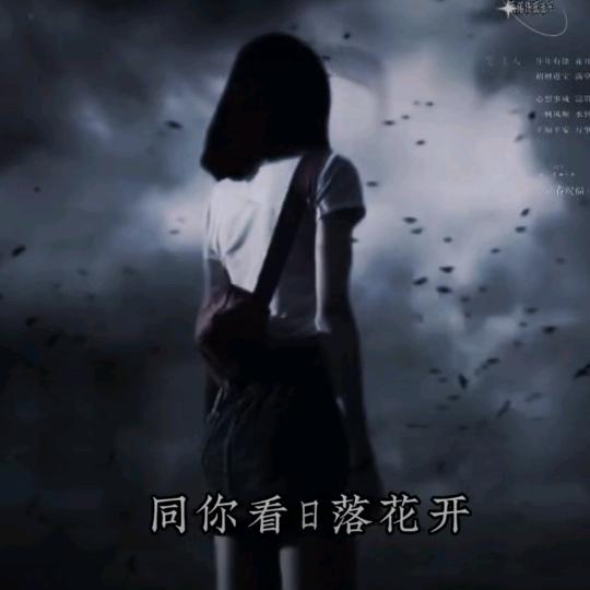 通讯录的好友