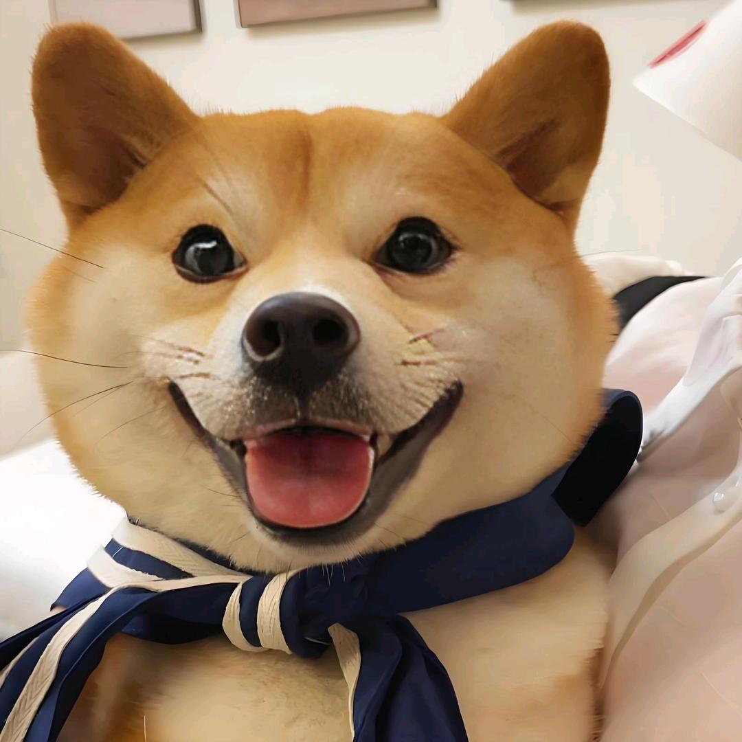 高兴就好