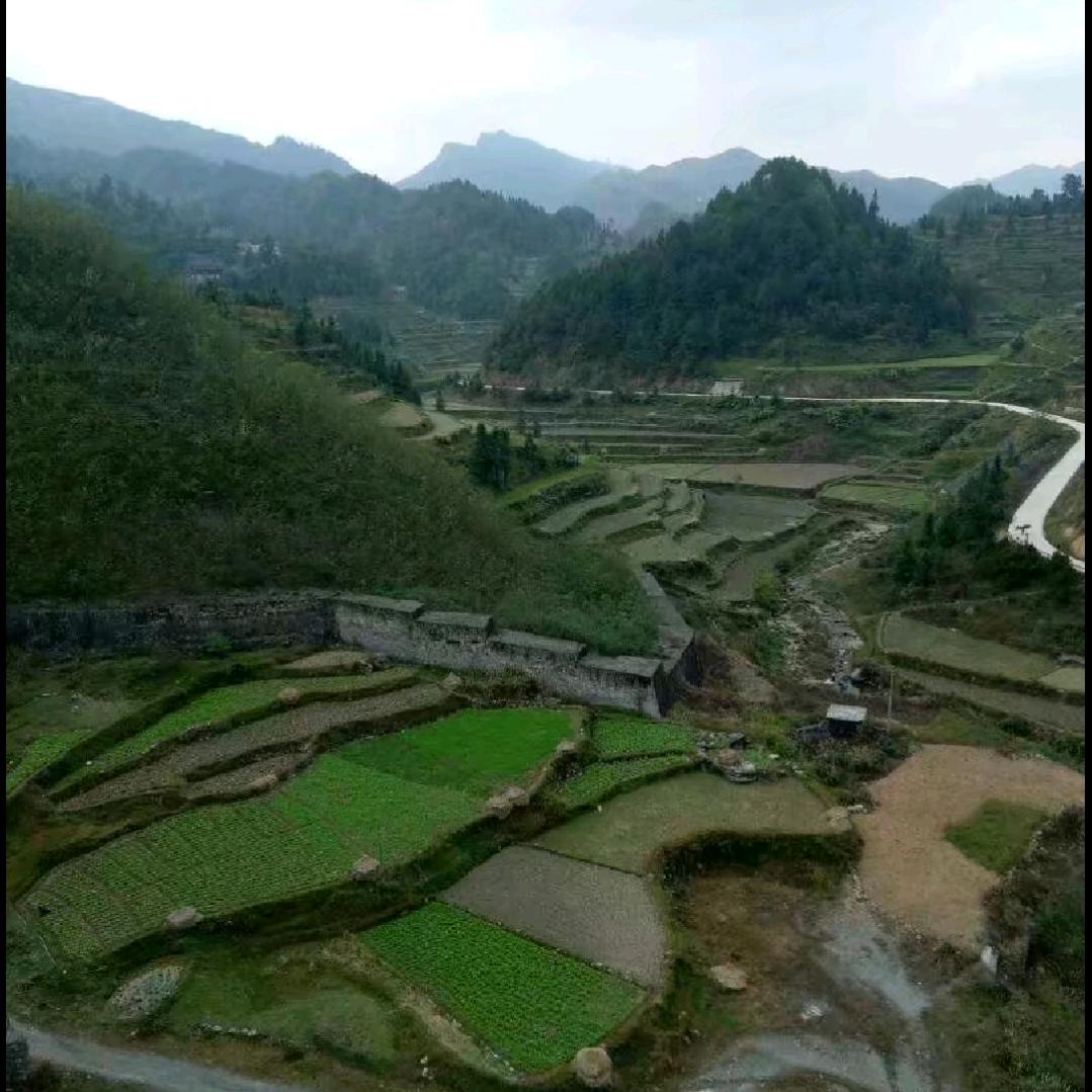 沙漠里的鱼