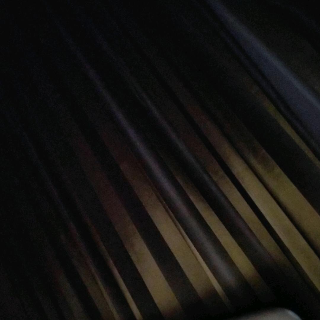 新来的