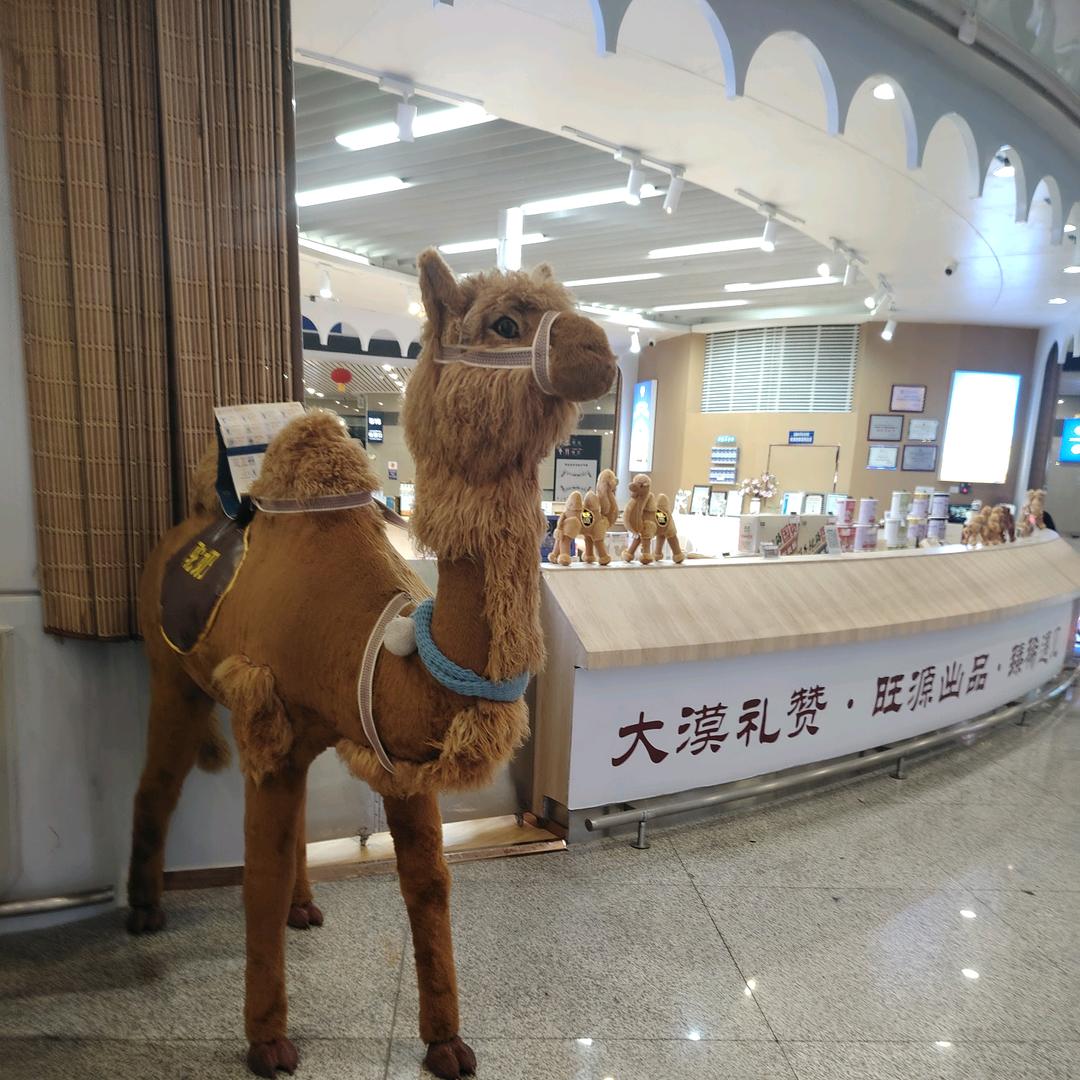 人善被人欺