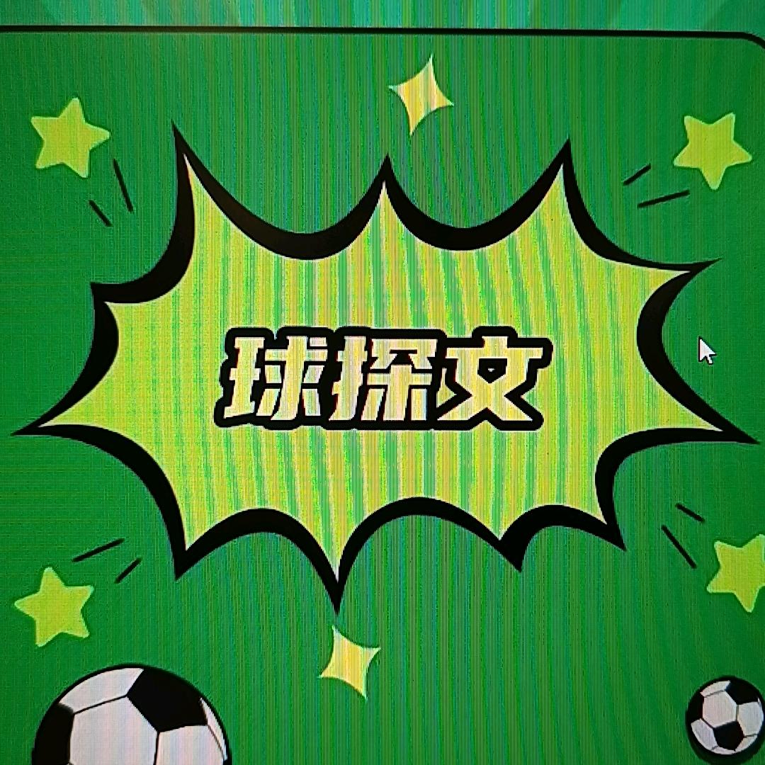 球探文-海口秀英启鑫楠信息咨询工作室