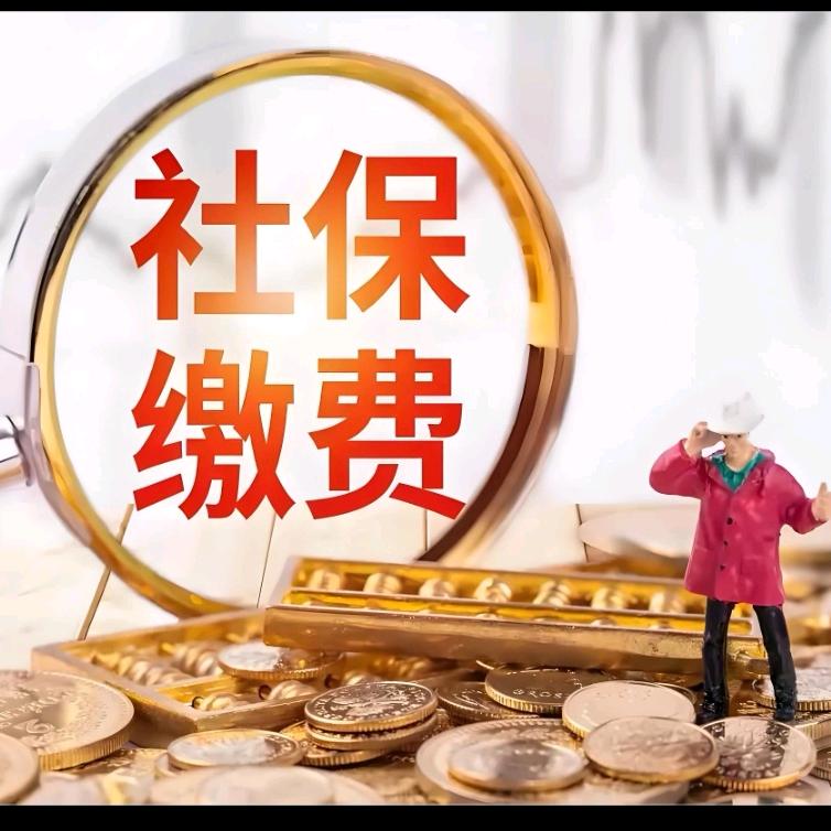 社保生活指南☘️