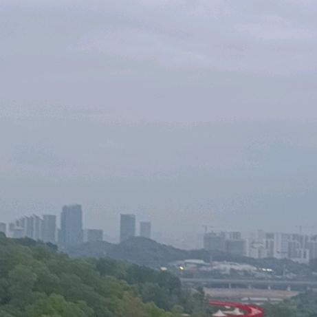 开心果1
