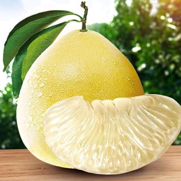 独行