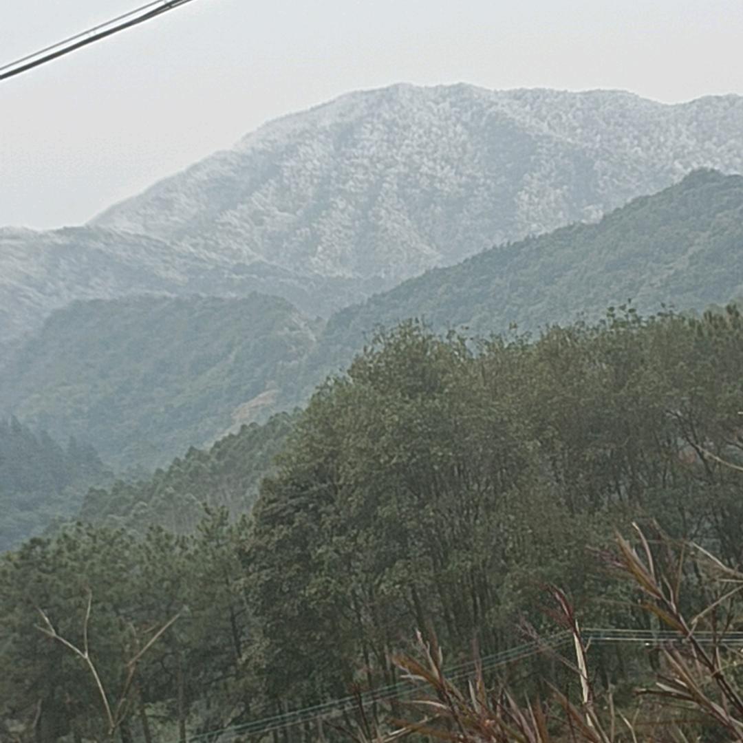 阳山妇女陈煮任