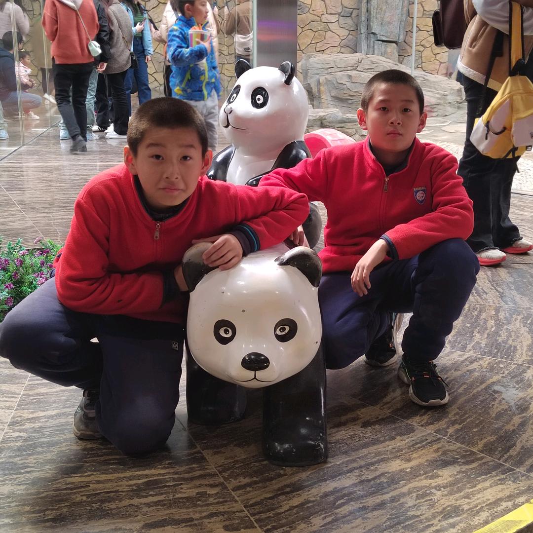 江中树