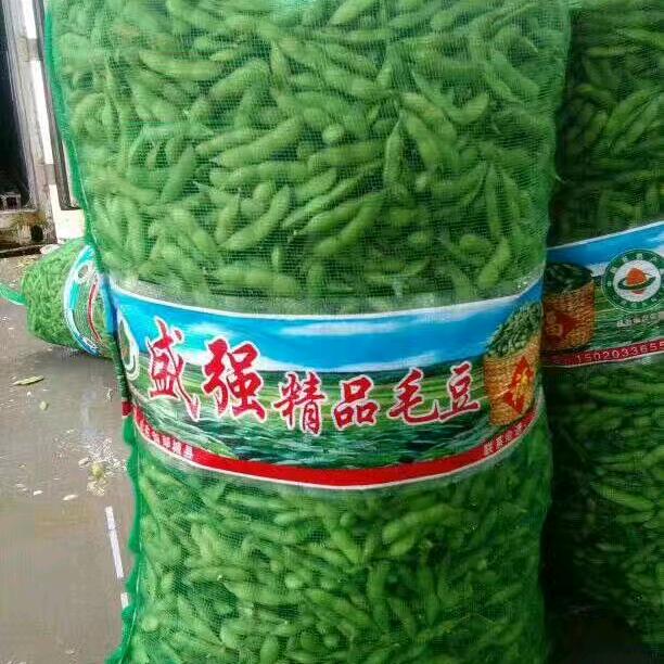 郯城县盛强蔬菜种植农民专业合作社