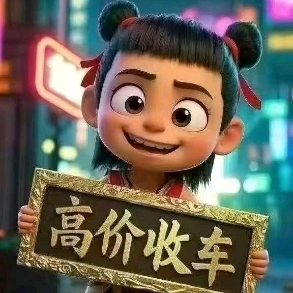 巩义胜利车行刘姐
