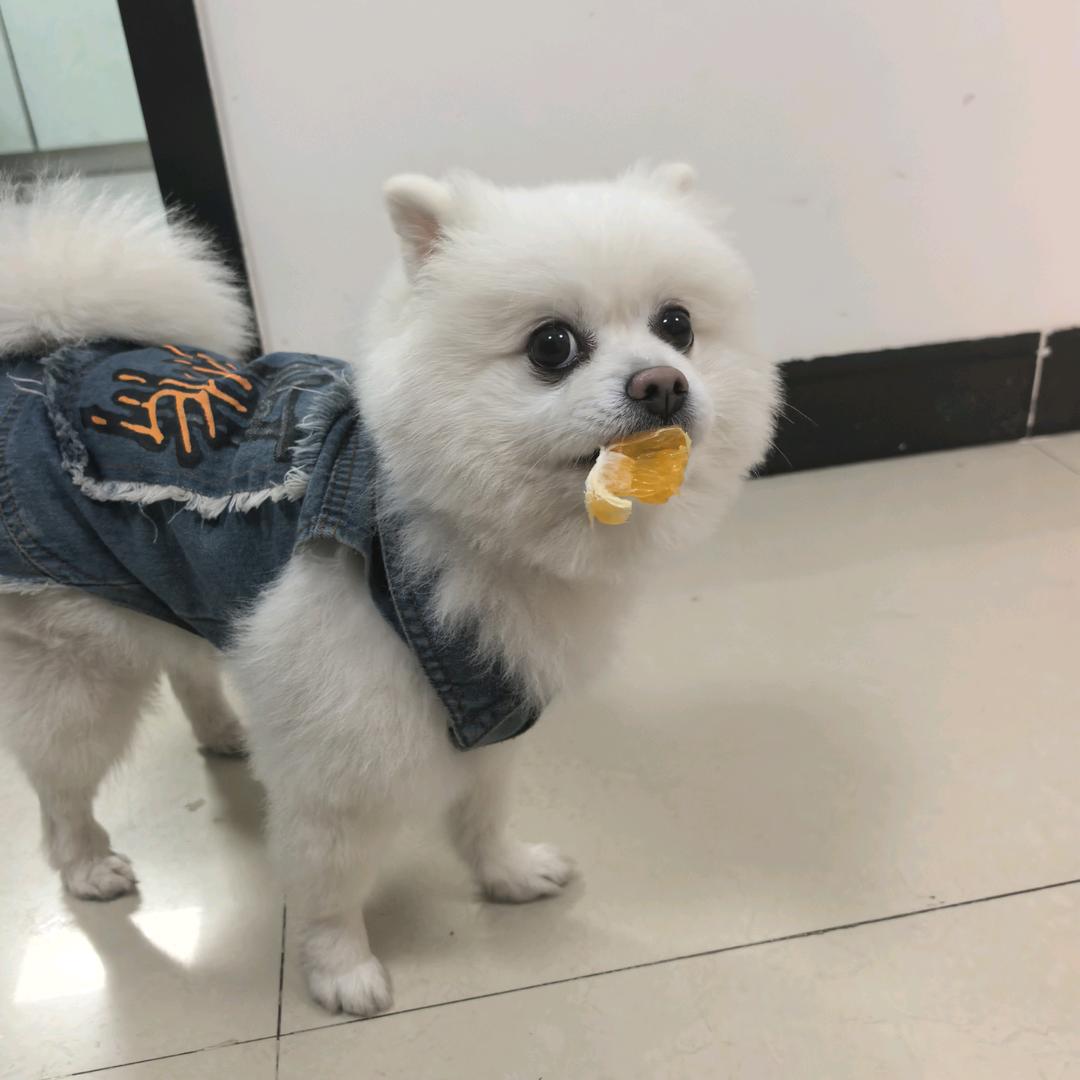 可燃，有毒有害气体报警专家