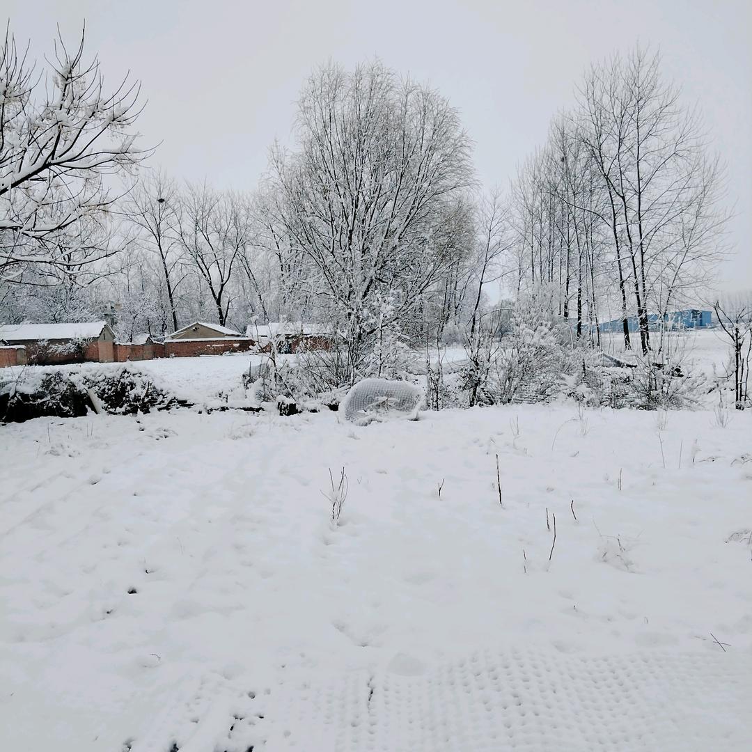 用户5982531405988