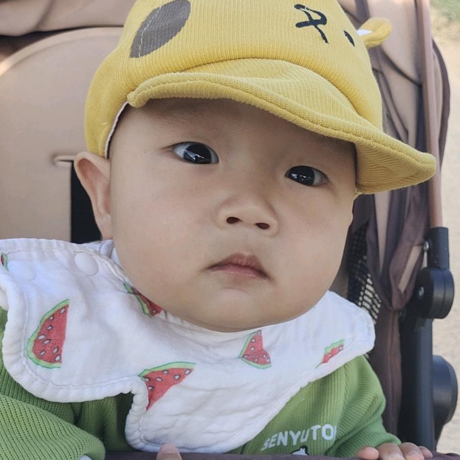 铎铎妈妈在带娃