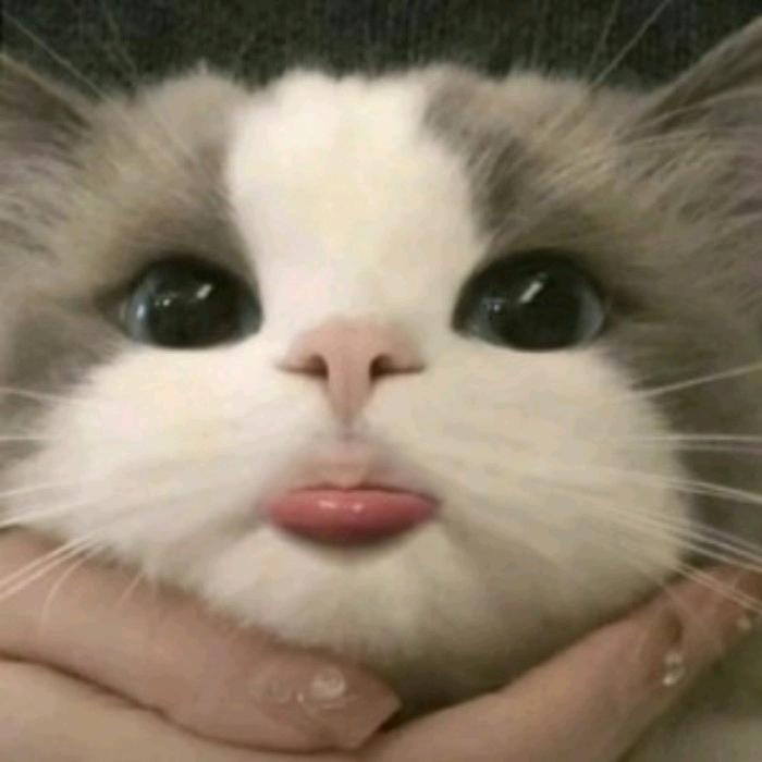 超爱吃小熊饼干