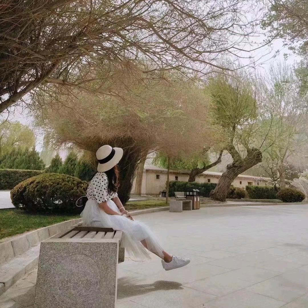 一坨粑粑的忧伤