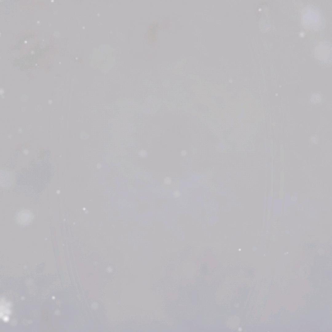 小傲娇❄️