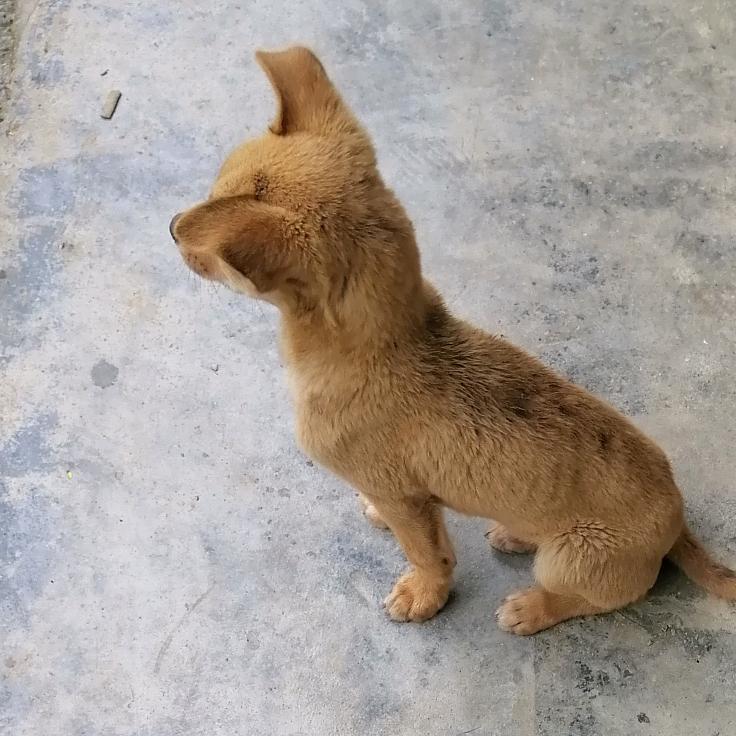 谁懂我