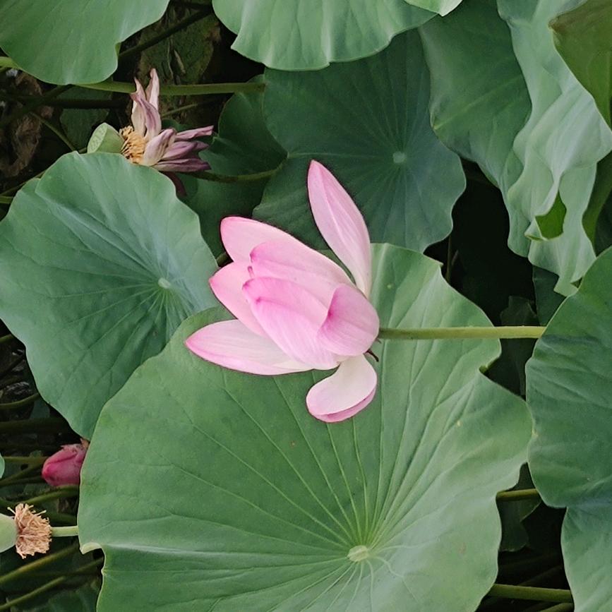 阳泉铺砖