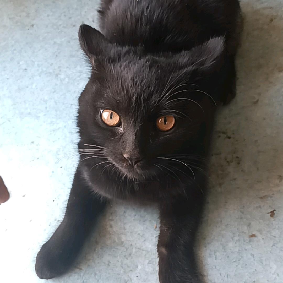 一直在路上（欢迎私聊）