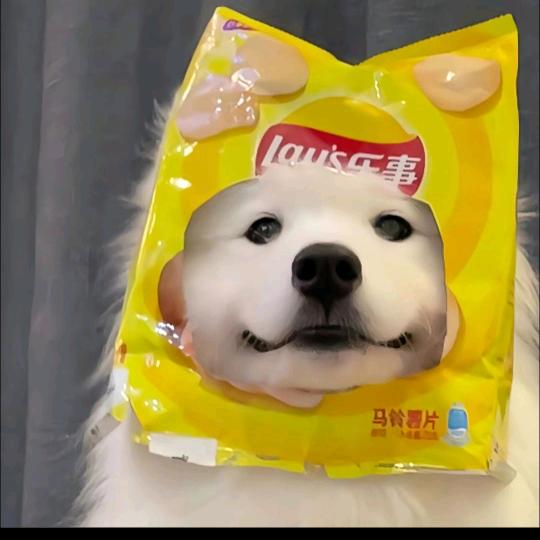 杰克熊不空军ℤ