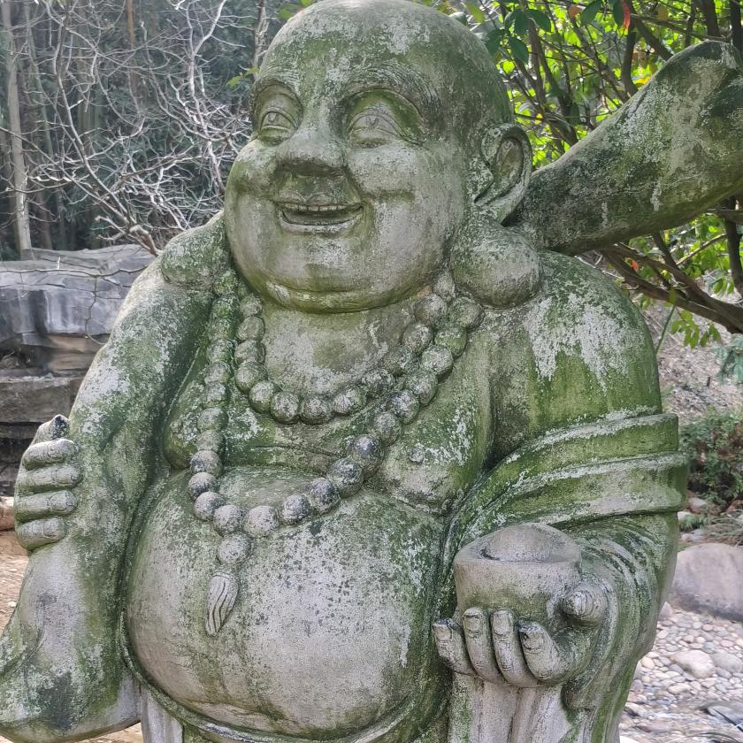 张少